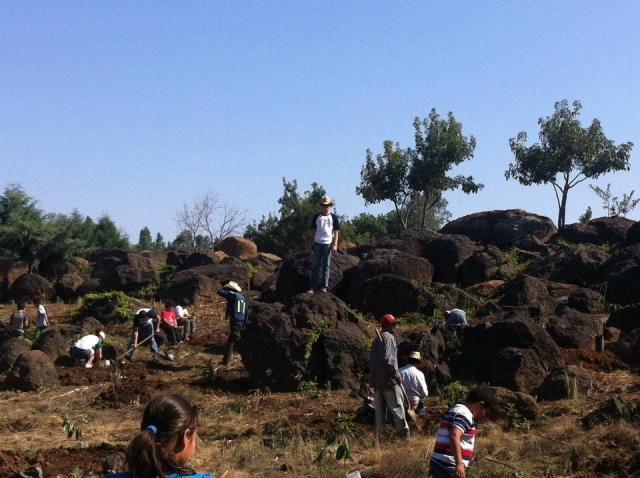 Caminatas en la Hacienda